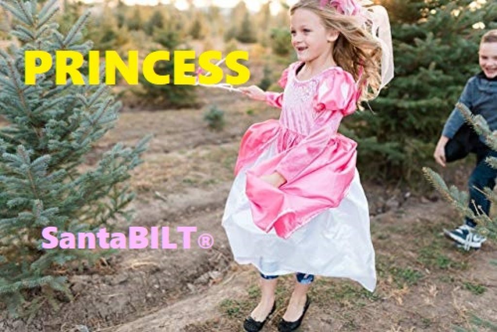 Princess Showcase | SantaBILT®