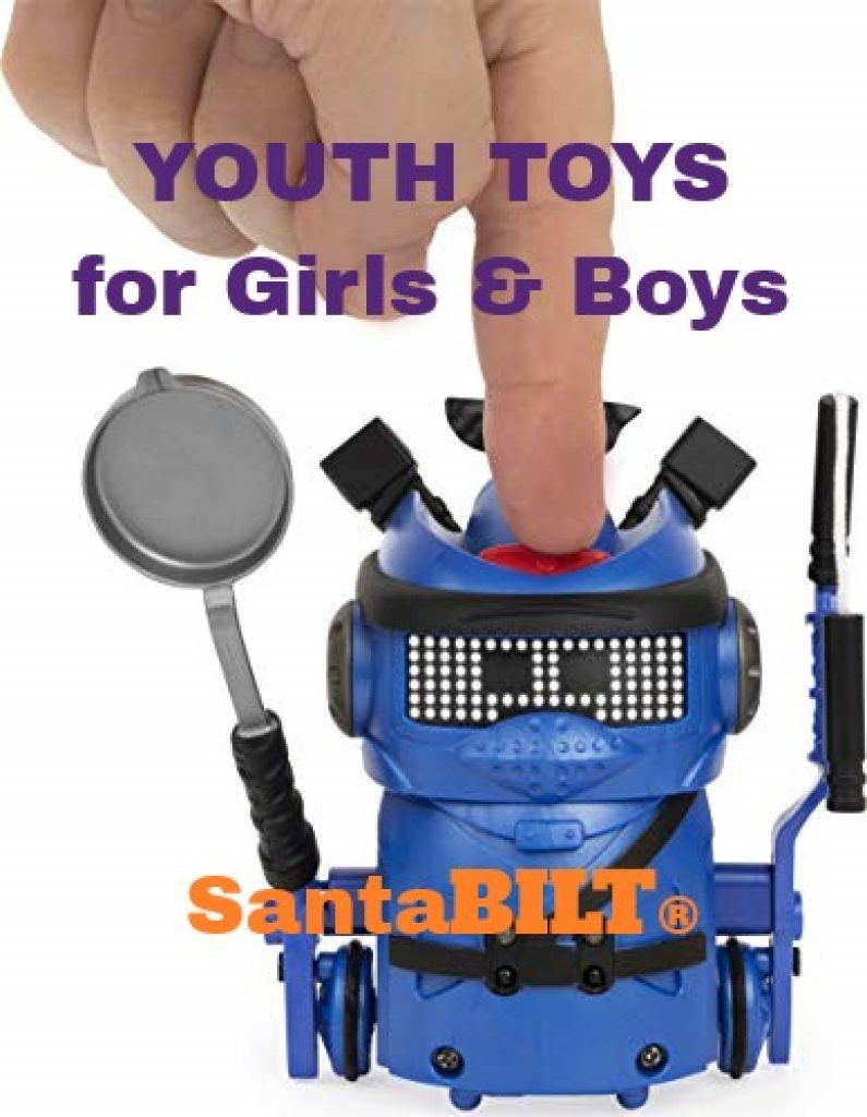 Youth Toys for girls & boys Showcase Center | SantaBILT®